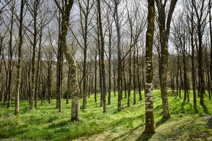 Abeiro da Loba finca