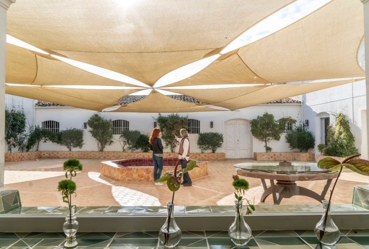 Acepados patio