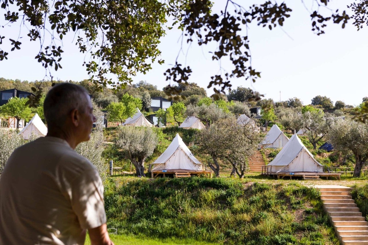 Alquézar y su camping de olivos centenarios