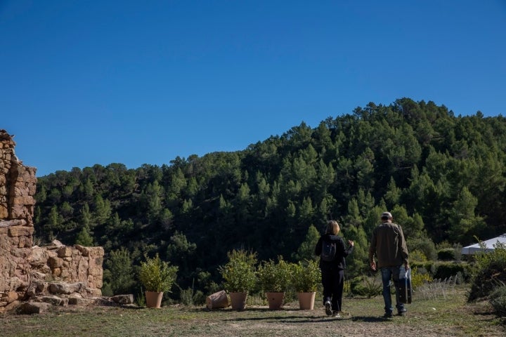 Casa de los Moyas