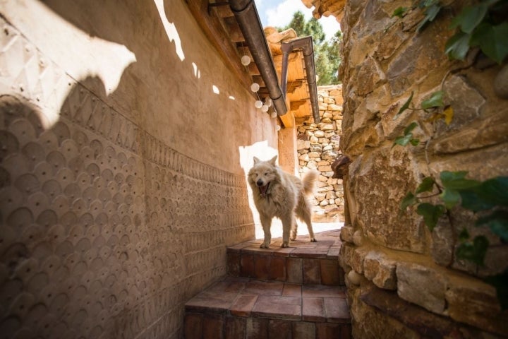 Sebastián, uno de los tres perros de la casa rural Mar de la Carrasca, en el parque natural de Peñagolosa, Castellón.