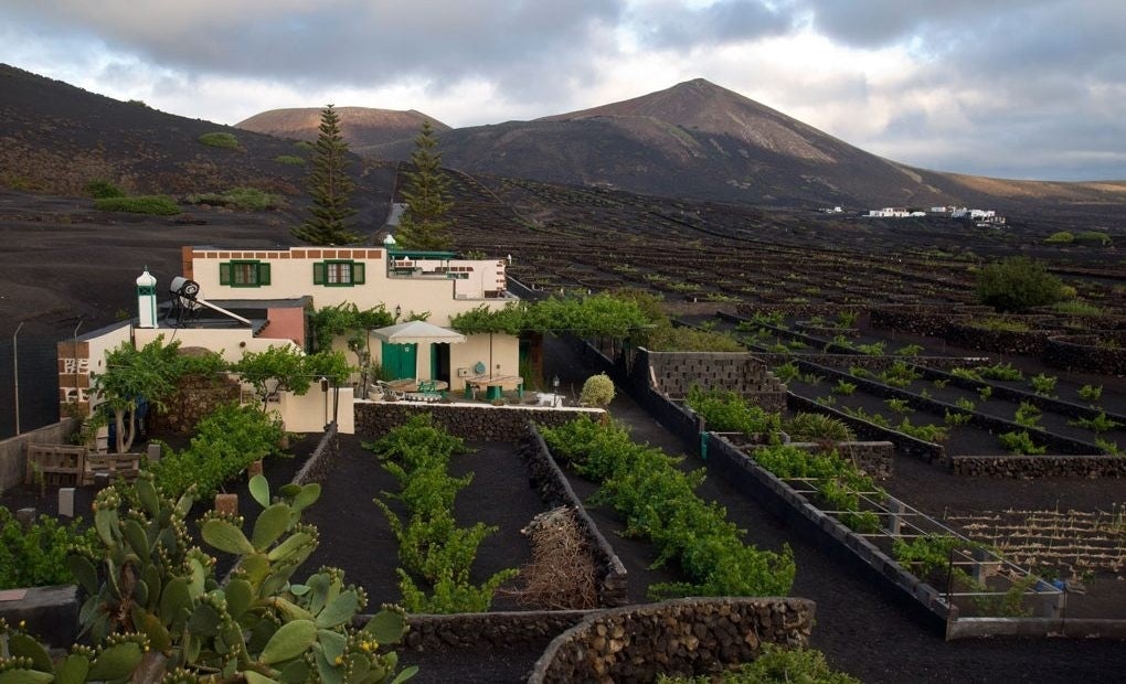 Esto si que son unas navidades detox. Foto: Casa Diama