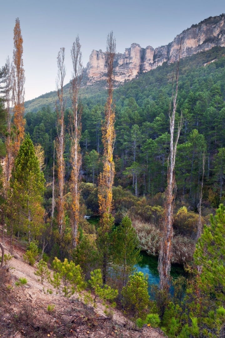 Vistas del Parque Natural del Alto Tajo