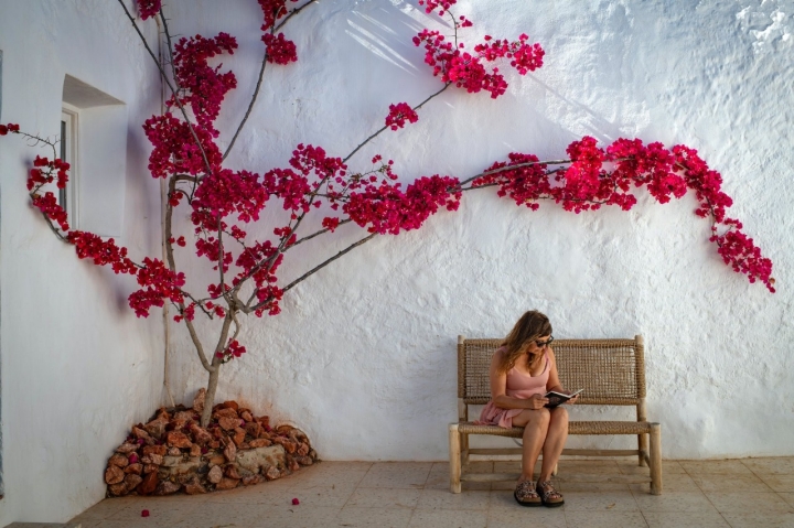 Buganvilla en el patio interior del Cortijo La Loma (Níjar, Almería).