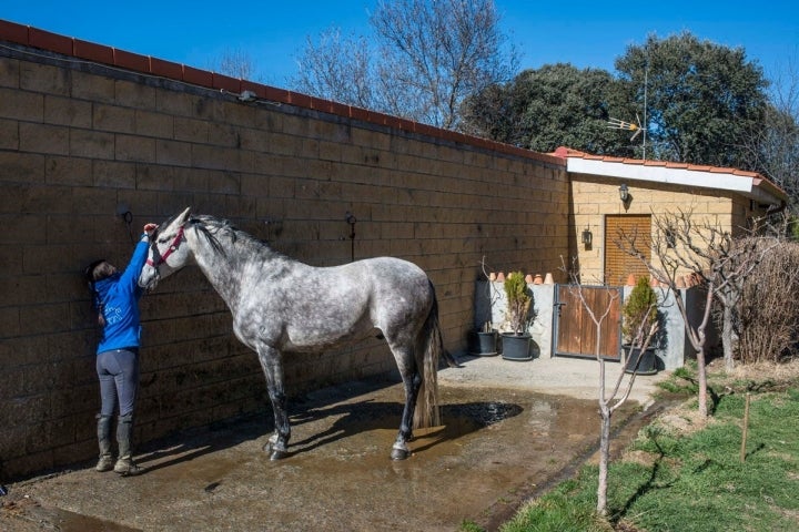 La casa del Palafrenero junto a los caballos, literalmente.