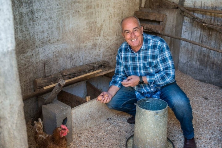 Cándido recogiendo los huevos para el desayuno.