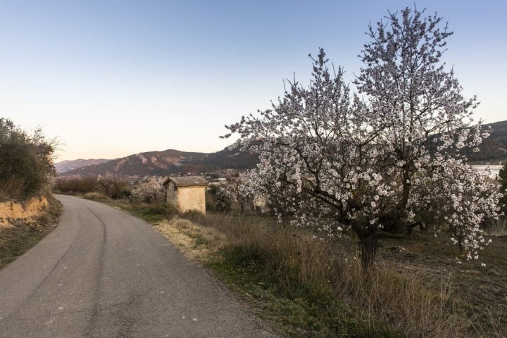 El paseo que rodea la finca, pura desconexión.