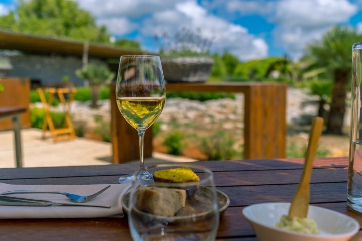 Finca Torralbenc copa vino