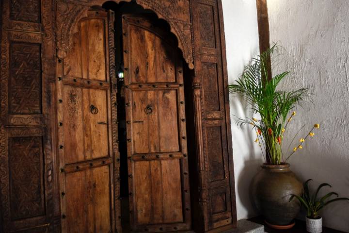 Puerta de Palosanto de India con planta de kentia.