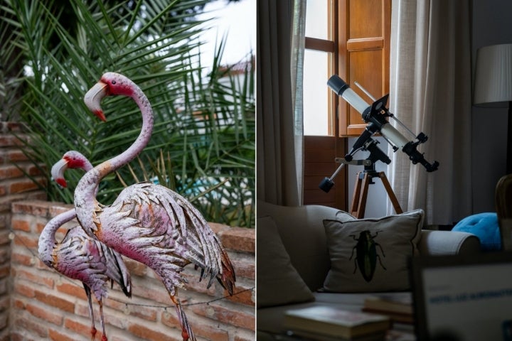 Detalles de la decoración del jardín y salón del hotel Luz Almonaster