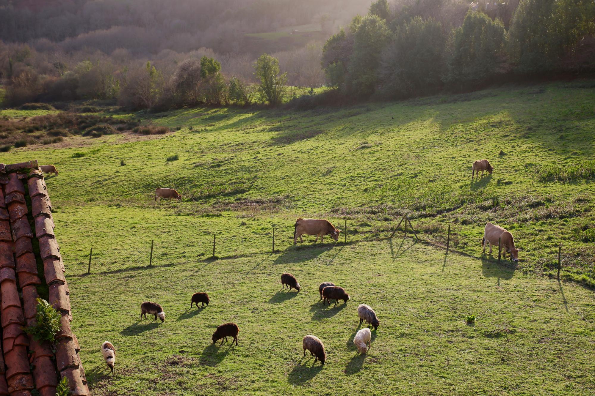 El paisaje que rodea al hotel.