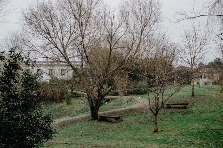 Alrededor del hotel hay una hectárea de campo y bosque para descubrir.