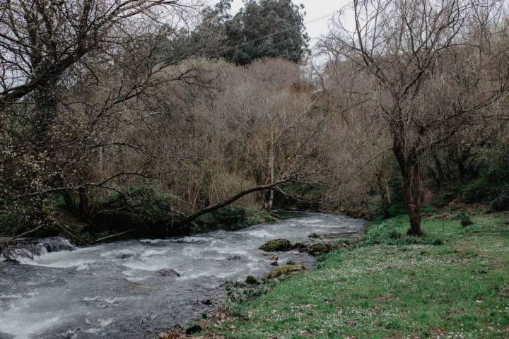 El río que rodea 'A Quinta da Auga'.