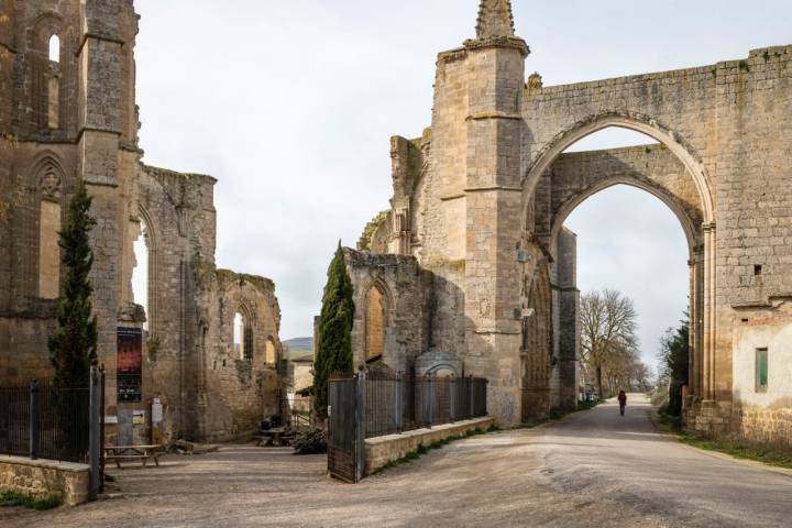 Las ruinas del Convento de San Antón del siglo XIV, un lugar mágico.
