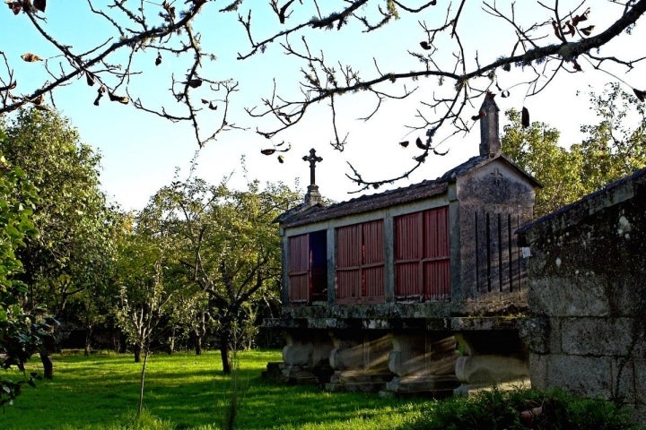 El pazo se encuentra en una zona muy rica de naturaleza. Foto: Pazo Almuzara.