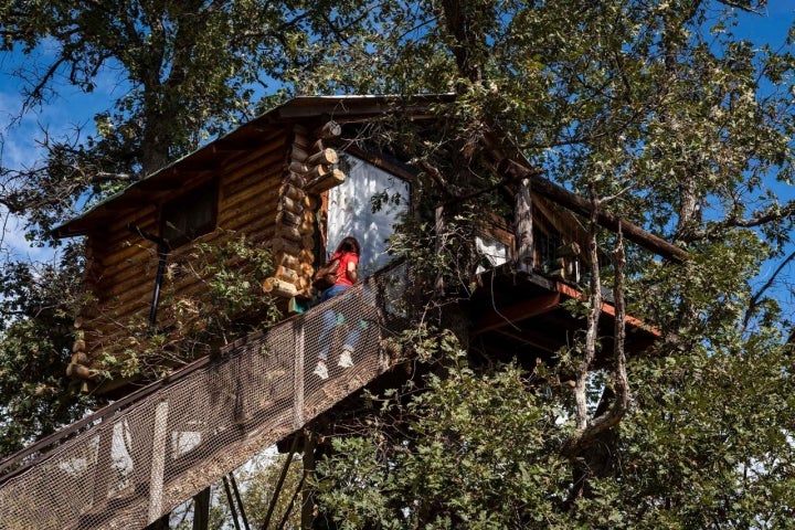 Cabañas los árboles de Extremadura (Villasbuenas de Gata, Cáceres) | Guía Repsol | Guía Repsol