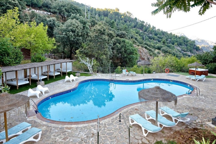 Hay mañanas en las que los machos monteses bajan a beber a la piscina.