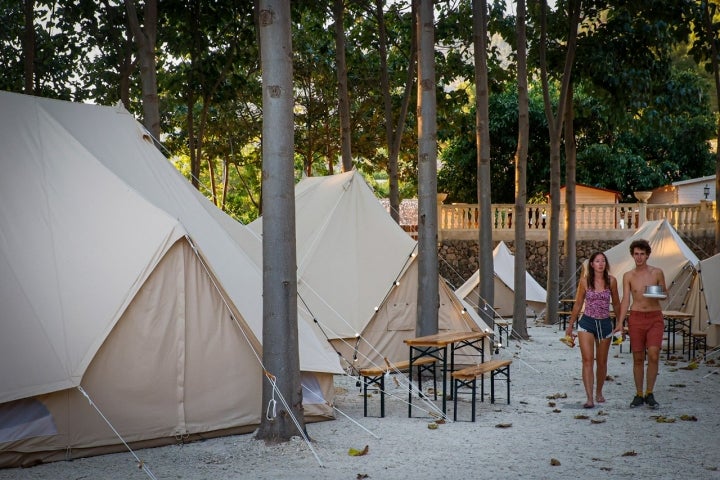 Tiendas de camping en el bosque