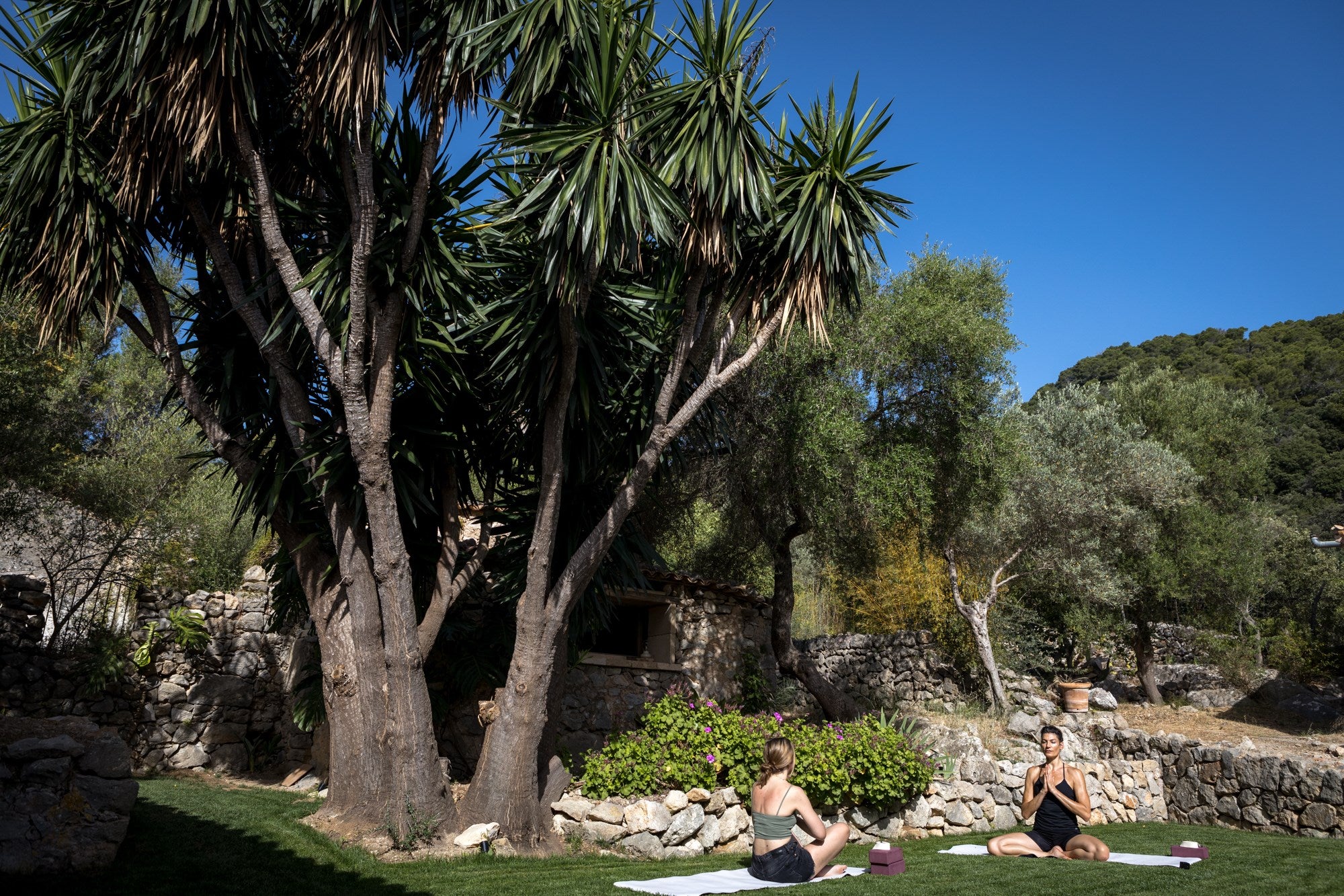 Can Beneit (Mallorca) yoga