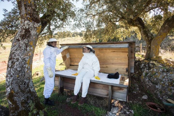 terapia con abejas en finca la donaira