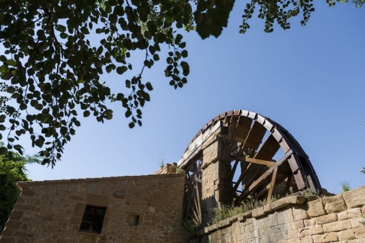 Noria Monasterio de Rueda