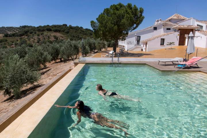 La piscina infinita del hotel 'Fresneda María' es un lugar ideal para olvidar el estrés entre olivares.
