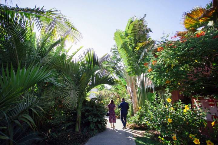El jardín de rarezas botánicas, la joya natural del hotel.