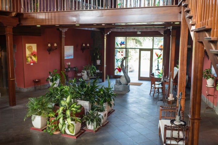 Plantas en la recepción del hotel Villalba (Vilaflor, Tenerife).