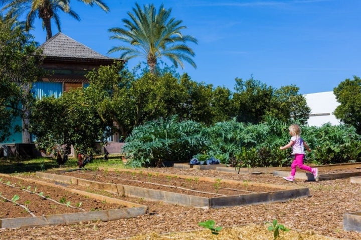 Una niña corretea por la huerta ecológica.