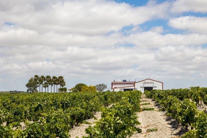 Finca La Bendita Locura