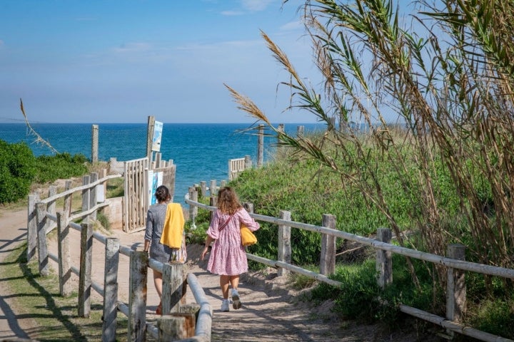 Camino a la playa, donde hay que tener especial cuidado con las dunas y las tortugas marinas.