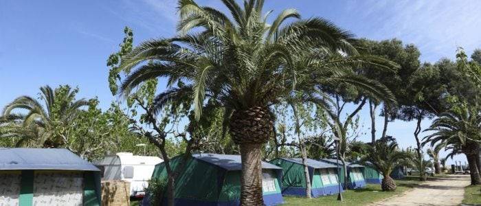 Las caravanas permiten disfrutar del camping casi durante todo el año.