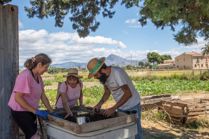 Voluntarios Terramón