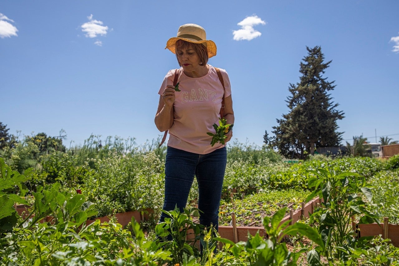 De la huerta a la mesa