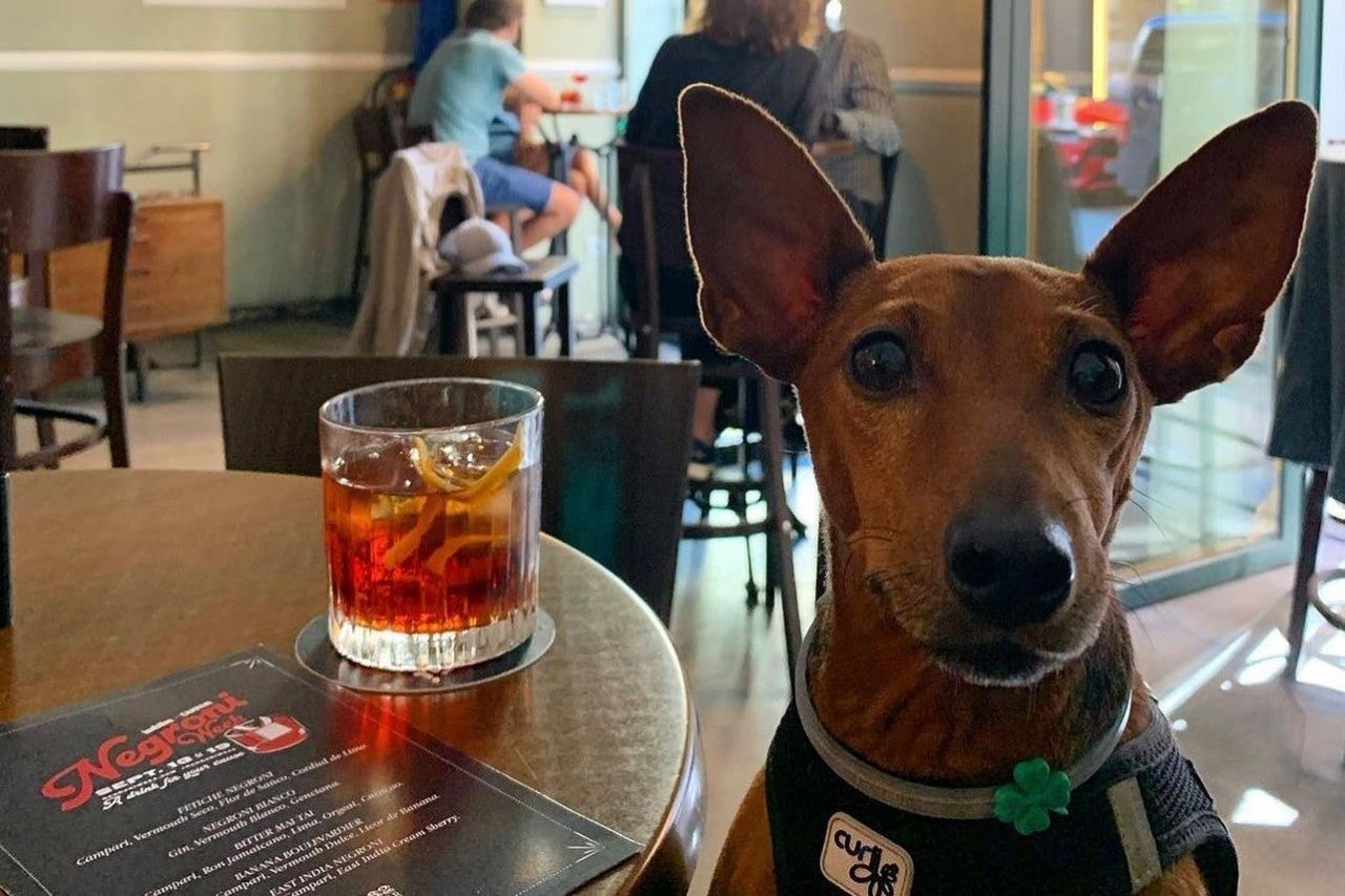 De cena y cócteles con tu mascota 