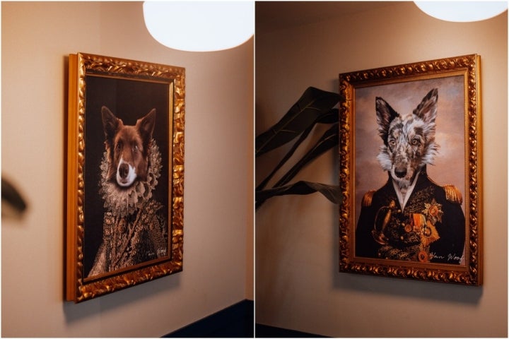 Las mascotas de los dueños tienen un lugar especial en 'La Braña'. Foto cedida