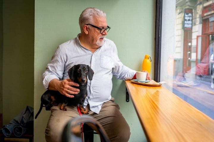 A veces en según qué sitios, las mascotas son las protagonistas.