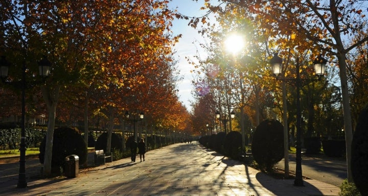 El Parque Gasset fue inaugurado en 1915. Foto: Shutterstock.