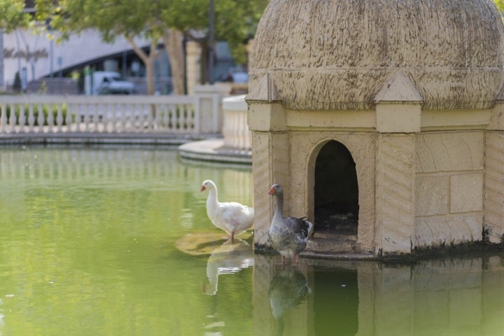 Un paseo por el parque de la Ribalta, que acompañan espontáneos. Foto: Shutterstock.