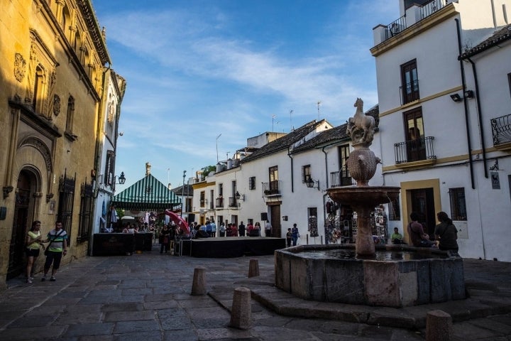 En los alrededores de la plaza del Potro se pueden encontrar multitud de restaurantes donde darse un homenaje.