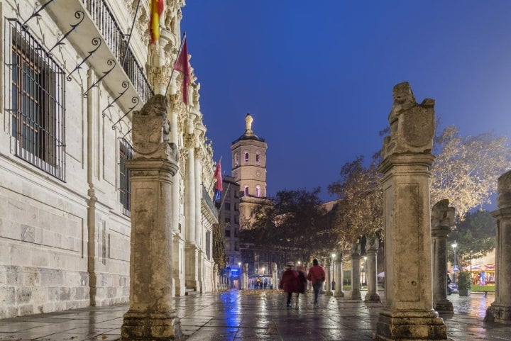 Las columnas rematadas con leones de la plaza de la universidad acentúan la verticalidad de la fachada. Foto: Shutterstock