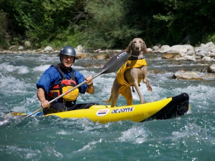 Rafting en río con mascotas