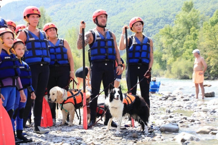 Varios perros preparados para hacer una ruta en kayak con sus dueños