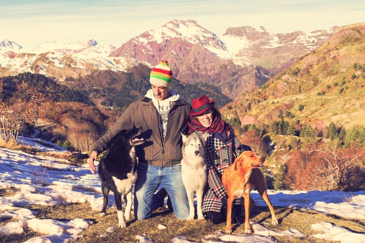 Así de felices se les ve posando con sus dueños