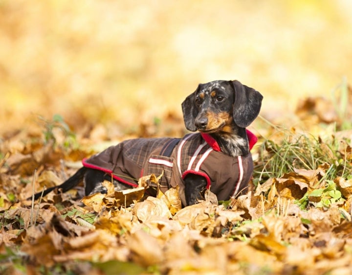 Lo primero: comodidad. Foto: shutterstock.