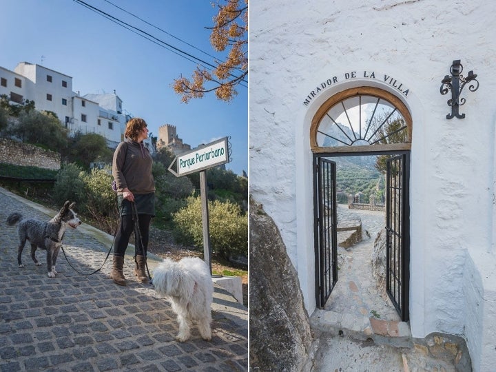 Rincones del municipio donde podrás darlo todo con tu mascota.