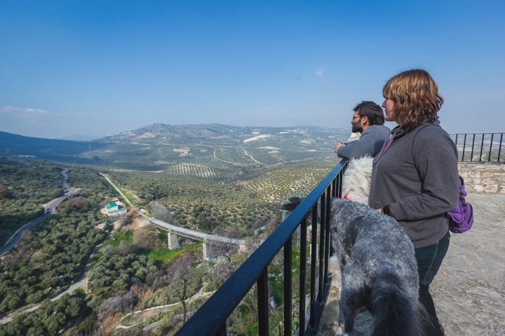 En los miradores podrás maravillarte con el paisaje sin soltar a tu mascota.