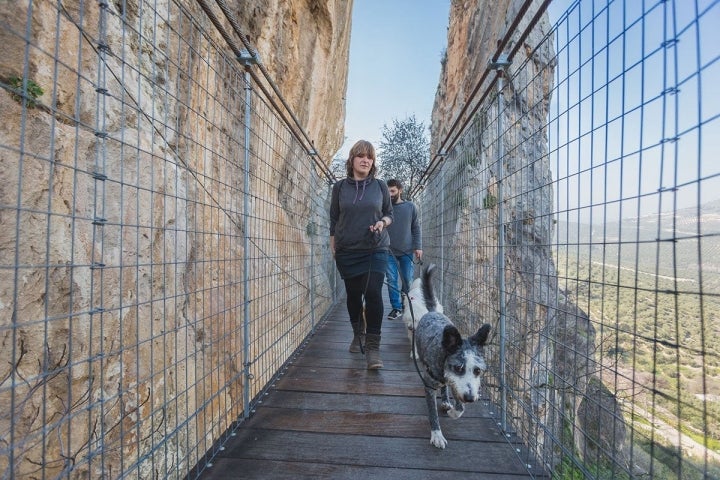 Lleva algún premio para tu can por si se asusta en el puente de madera.