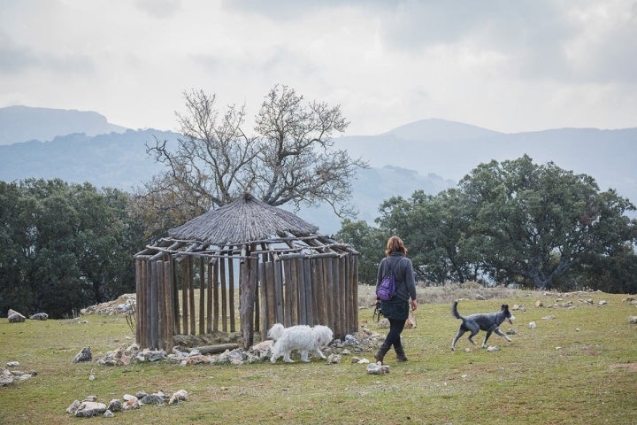 Los alrededores son perfectos para estirar las piernas con tu perro.