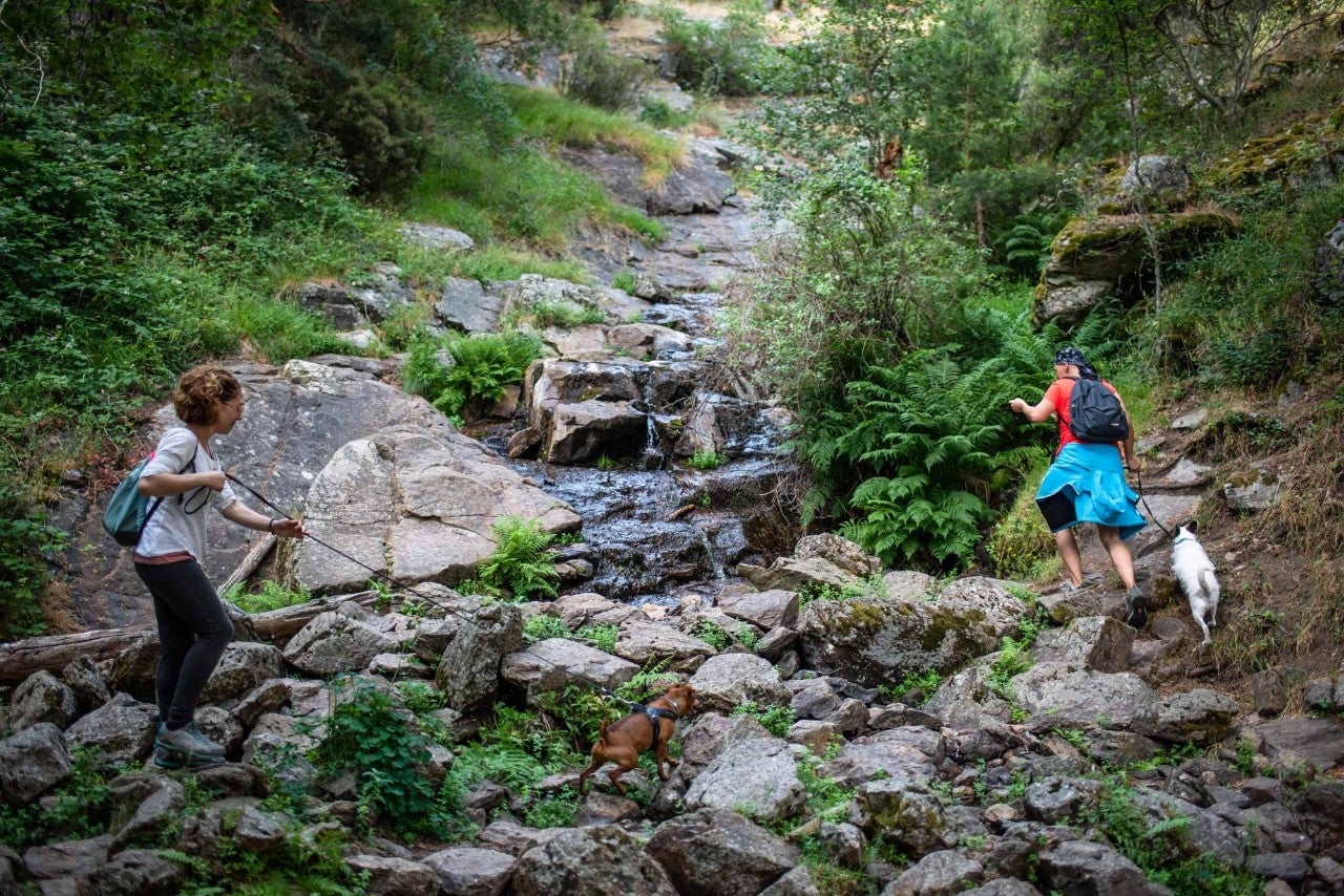 El Puerto de Canencia merece un 'guau'